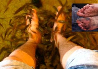 Kaki Pria Ini Terlalu Bau Sehingga Saat Melakukan Spa Ikan, Semua Ikan Mati