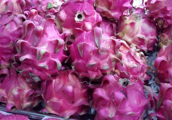 Apakah Adik Bayi Boleh Makan Buah Naga? Cari Tahu Jawabannya, yuk!