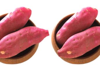 Mau Cepat Kurus Setelah Lebaran? yuk Cobain Olahan Ubi Jalar Satu Ini