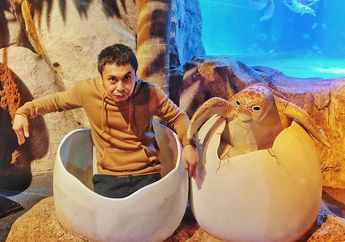 Ketika Kucing Peliharaan Raditya Dika Bisa Nyanyi, Kok Serem?