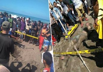 Seekor Anjing Korek-korek Pasir, Ternyata Ada Mayat Pria Bertato Terkubur di Dalamnya 