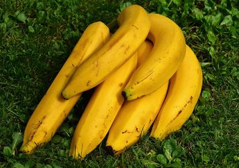 4 Manfaat Buah Pisang, Salah Satunya Bikin Kemampuan Otak Meningkat