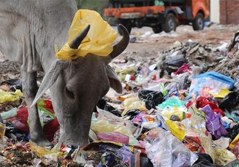 Tahun 2022, India Akan Steril dari Plastik Sekali Pakai, Benarkah?