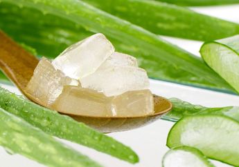 5 Cara Membuat Masker Lidah Buaya untuk Wajah Kencang hingga Bebas dari Jerawat