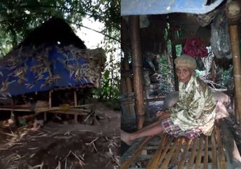 Kisah Mbok Misa, Nenek Tua yang Hidup Sebatang Kara di Gubug Reot di Tengah Hutan