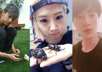 6 Idol  yang Punya Binatang Peliharaan Unik, Ada yang Pelihara Kumbang!