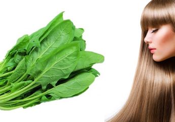 2 Manfaat Bayam Untuk Rambut, Sudah Tahu Belum?