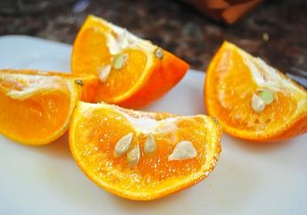 Cuman Butuh 10 Menit untuk Bikin Panjang Umur, Ternyata Minum Air Rebusan Biji Jeruk Punya Segudang Manfaat Kesehatan Bagi Tubuh