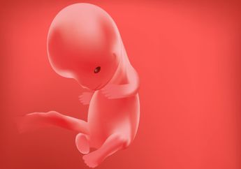 Sempat Gegerkan Warga, Janin Kembar yang Ditemukan di Selokan Ini Ternyata Bukan Janin Manusia