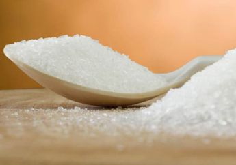 Apakah MSG Lebih Sehat dari Garam? Ternyata Ini Manfaatnya untuk Kesehatan dan Diet 