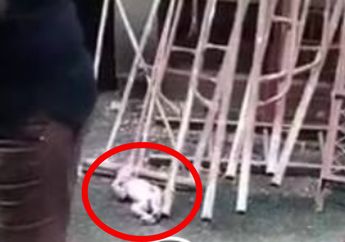 Kuasa Tuhan! Dilempar dari Lantai 3, Bayi Laki-Laki Masih Hidup dan Tetap Utuh