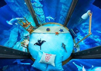 Jangan Ngaku Pecinta Biota Laut Kalau Belum Coba Tidur dengan Hiu!