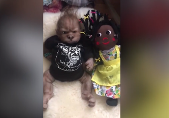 Seorang Ibu Menghabiskan Rp 100 Juta untuk Merawat Koleksi Bonekanya