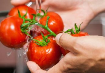 Kesalahan yang Sering Kita Lakukan dalam Proses Penyimpanan Tomat