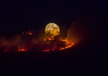 Lahan 10 KM Persegi Kebakaran Diduga Akibat Geng Motor Buang Puntung Rokok Sembarangan 