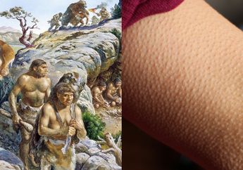 4 Kemampuan Sisa Evolusi yang Masih Dimiliki Manusia, dari Merinding Sampai Usus Buntu