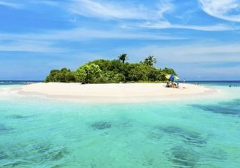 Lima Tempat Menyelam Kece di Karimunjawa, Wajib Coba Spotnya Kece