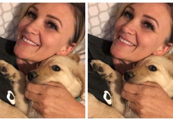 Aksi Heroik Seekor Anjing Lindungi Sang Pemilik dari Gigitan Ular