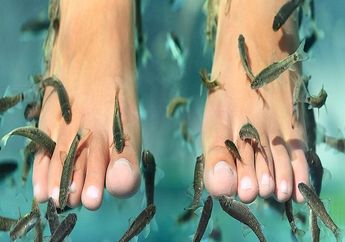 Perawatan Spa Kontroversial, Kuku Jari Kaki Seorang Wanita Hampir Habis Digerogoti Ikan