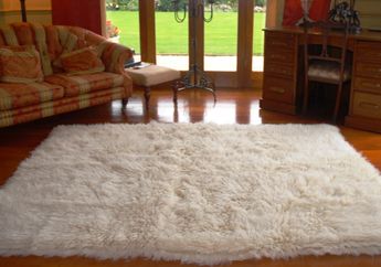 Awas! Inilah 4 Peralatan Rumah Tangga yang Kerap Dilupakan Kebersihannya