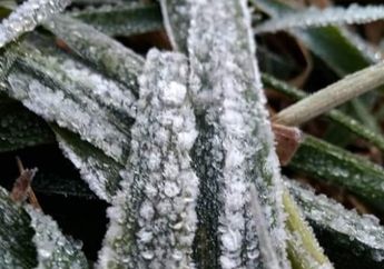 Dibalik Cantiknya Dataran Tinggi Dieng, Adanya Embun Bun Upas Menyimpan Bahaya