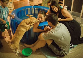 4 Potret Ini Tunjukkan Kesetiaan Seekor Anjing Temani Majikannya yang Akan Melalui Masa Persalinan