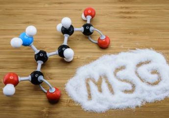 Luruskan Hoax Tentang MSG, P2MI Jelaskan Efek Konsumsi Micin untuk Kesehatan