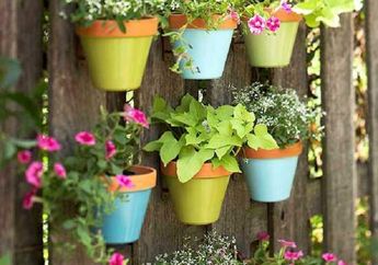 Mumpung Libur, Yuk Rawat Tanaman Kesayanganmu Jangan Malas-malasan