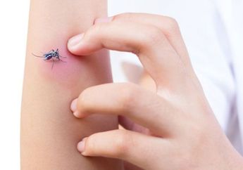 Ternyata 6 Alasan Ini yang Bikin Nyamuk Suka Menggigit Kamu 