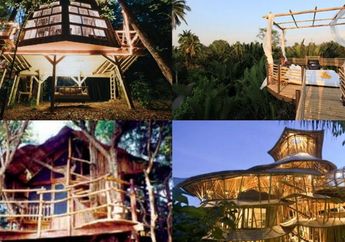 4 Penginapan Model Rumah Pohon Pas Buat Honeymoon, Satu di Bali Loh