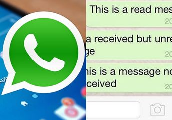 Mematikan Centang Biru dan Last Seen WA Bisa Membuatmu Rugi Loh!