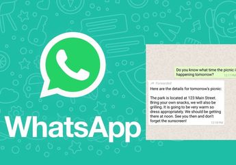 WhatsApp Rilis Fitur Baru, Kenali Tanda Pesan Berantai