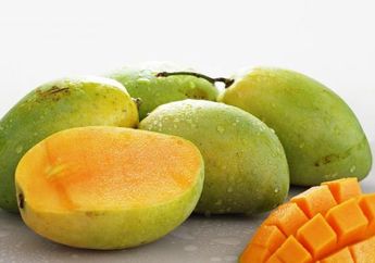 Ini Manfaat Buah Mangga si Raja Buah Termasuk untuk Turunkan Kolesterol dan TIngkatkan Gairah Seks