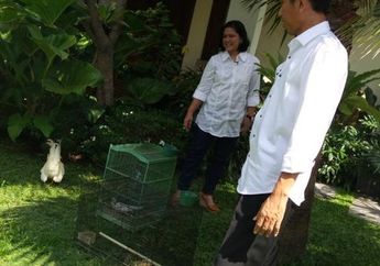 Intip Momen Manis Jokowi Selfie Bersama Iriana Sebelum Hadiri Upacara Peringatan Kemerdekaan Indonesia