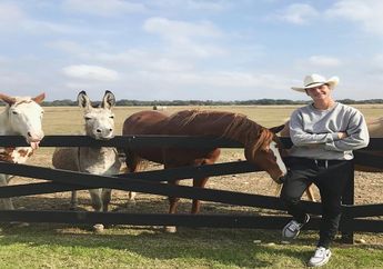 4 Potret Jeff Kopchia, Pria Bule yang Digandeng Agnez Mo saat Pulang ke Indonesia 