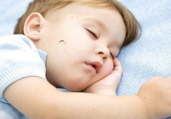 Anak Sering Digigit Nyamuk? Yuk Atasi dengan 6 Cara Berikut Ini