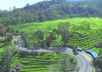 Dari Aceh Sampai Papua, Inilah 5 Tempat Terdingin di Indonesia
