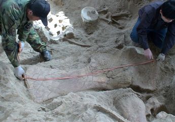 Selama ini Dianggap Mitos, Seorang Petani Temukan Fosil 'Naga Lingwu'