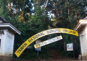 333 Pendaki Gunung Rinjani Terjebak di Danau Segara Anak Karena Jalur Turun Tertutup Material Longsor