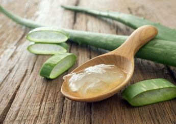 Jangan Operasi! Akar Kangkung dan Lidah Buaya Mampu Sembuhkan Ambeien