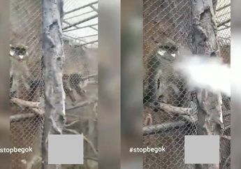 Beredar Video Pengunjung Semburkan Asap Vape ke Binatang di Jatim Park, Pihak Manajemen Angkat Bicara