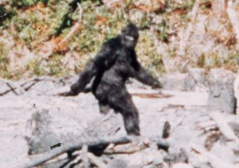 Kisah Manusia Mencari Jejak Bigfoot Selama 60 Tahun, Ini Awal Mulanya