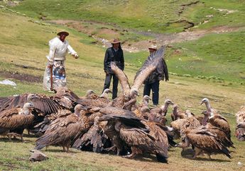  Inilah Jhator, Ritual Pemakaman Mengerikan di Tibet, Mayat Dibiarkan Dimakan Burung Nasar