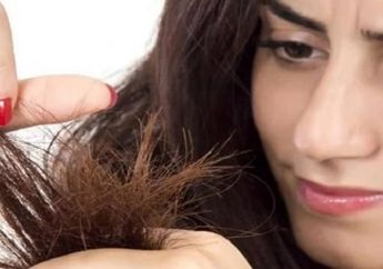 Rambut Bercabang Buat Rambut Tak Cantik, Coba Perawatan Alami Ini