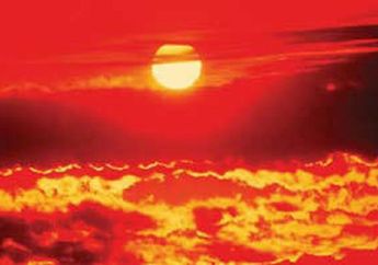 Akibat Gelombang Panas Angka Kematian Manusia Meningkat, Apalagi di Negara Beriklim Tropis