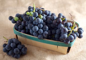 Cari Tahu Manfaat Anggur Concord, Salah Satunya Baik Untuk Kesehatan Ginjal, Kepoin yuk!
