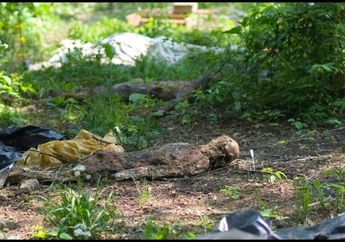 Pemandangan Mengerikan Perkebunan Mayat, Tempat di Mana Ribuan Jasad Manusia Dibiarkan Tergeletak di Tanah Begitu saja hingga Membusuk