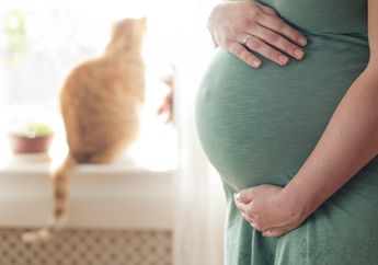 Duh, Kucing Dapat Membahayakan Kehamilan? Ini Penjelasannya