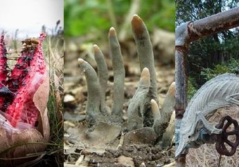 Bikin Merinding! Foto Kuasa Alam ini Bikin Kita Bergidik Melihatnya