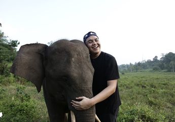Tulus Bersama Teman Gajah Menggalang Donasi untuk Populasi Gajah Sumatera
